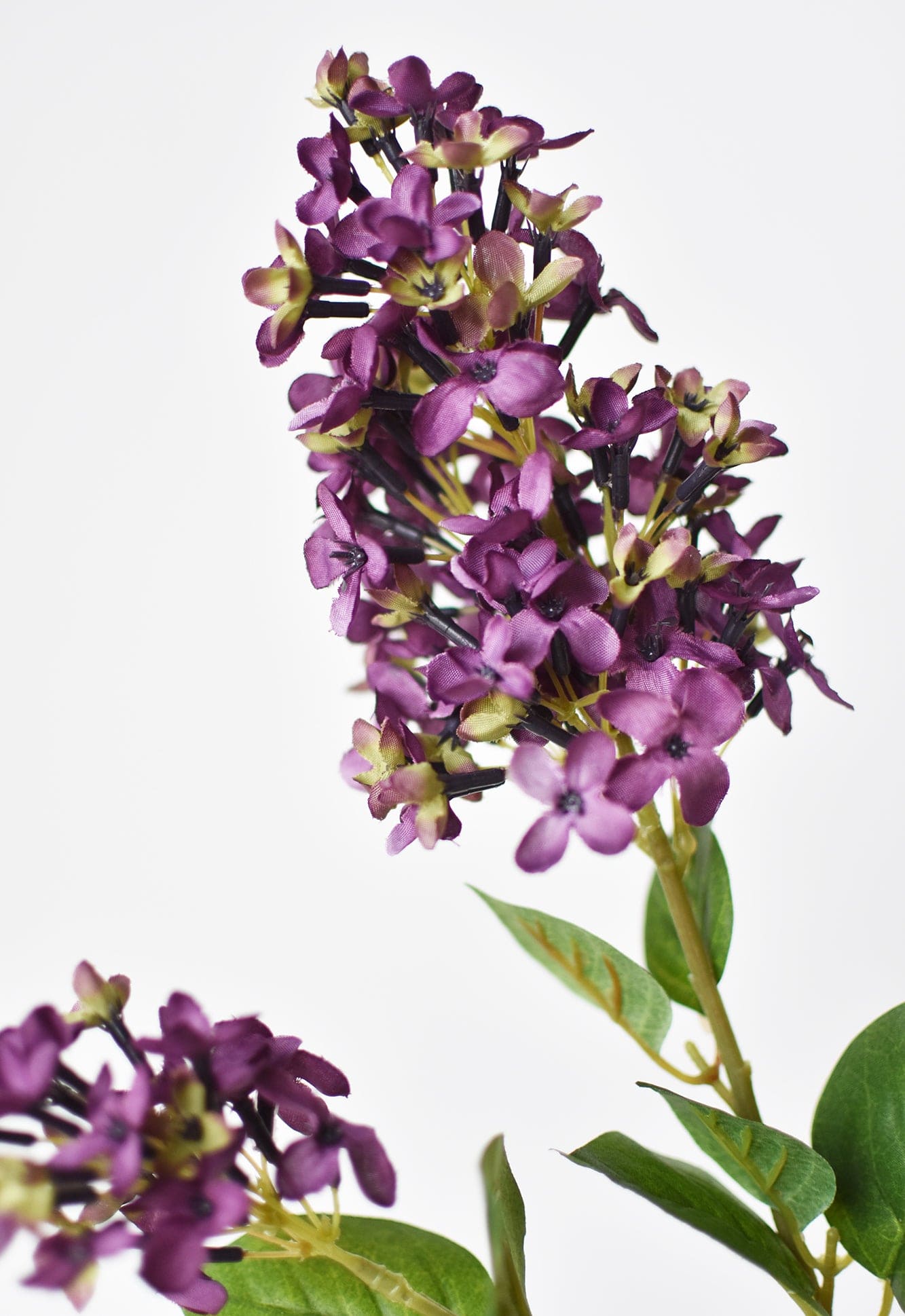 English Lilac Stem, 28.5", Dark Purple