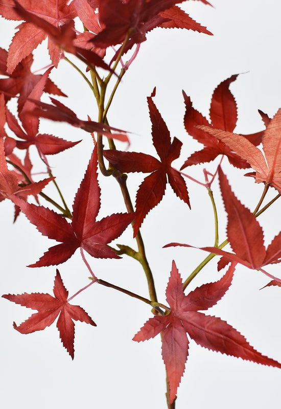 Japanese Maple Leaf Stem, 27"