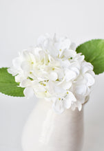 Load image into Gallery viewer, White Hydrangea Stem, 10&quot;
