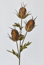 Load image into Gallery viewer, 26&quot; Faux Brown Thistle Stem
