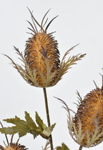 Load image into Gallery viewer, 26&quot; Faux Brown Thistle Stem
