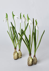 Standing Snowdrop with Bulb, 10"