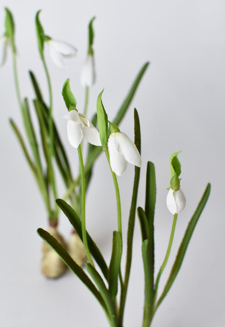 Standing Snowdrop with Bulb, 10"