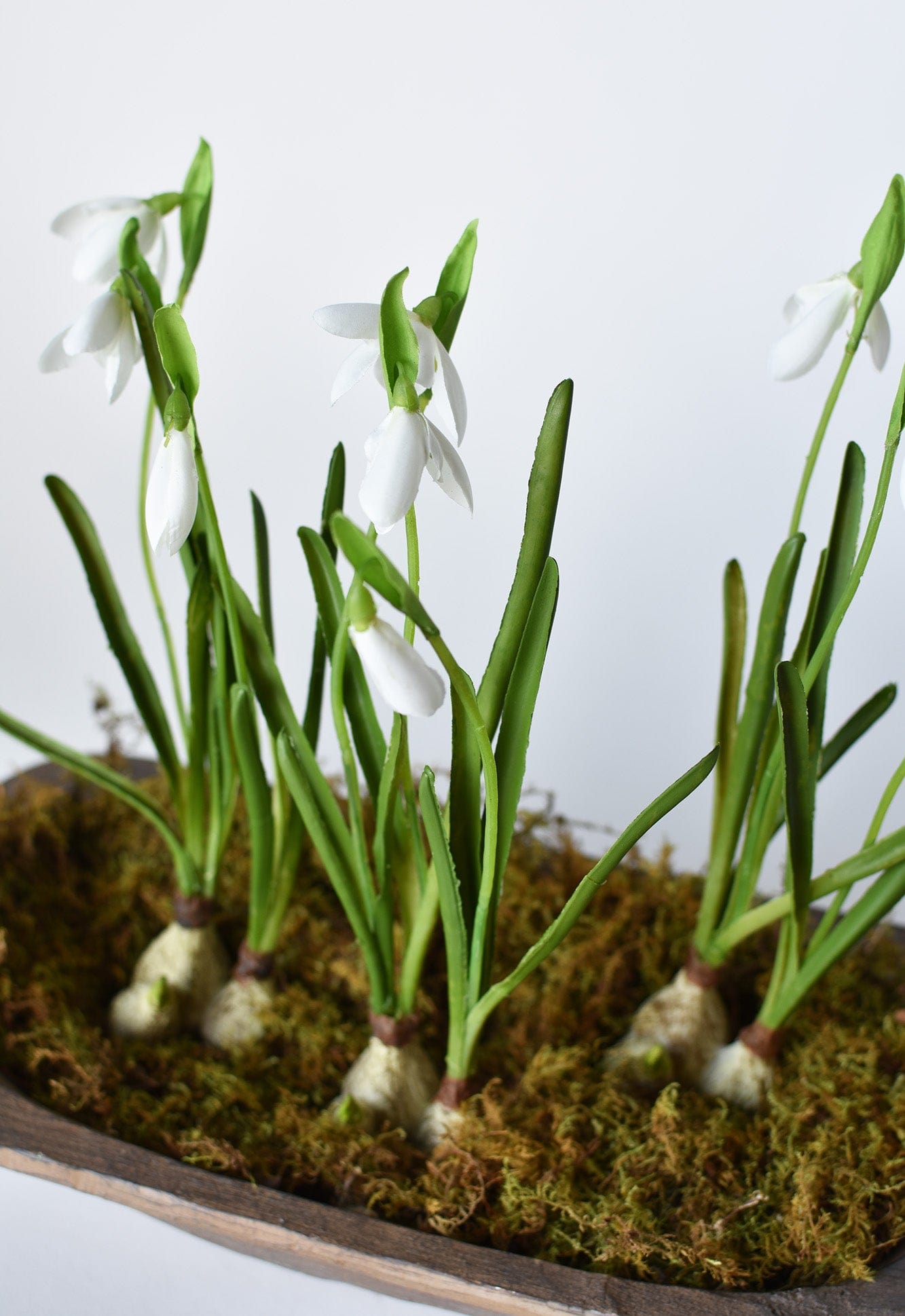 Standing Snowdrop with Bulb, 10"