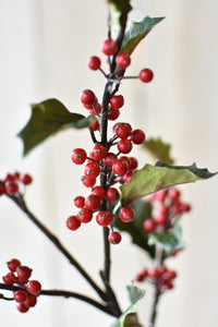 Holly with Berry Stem, 33"