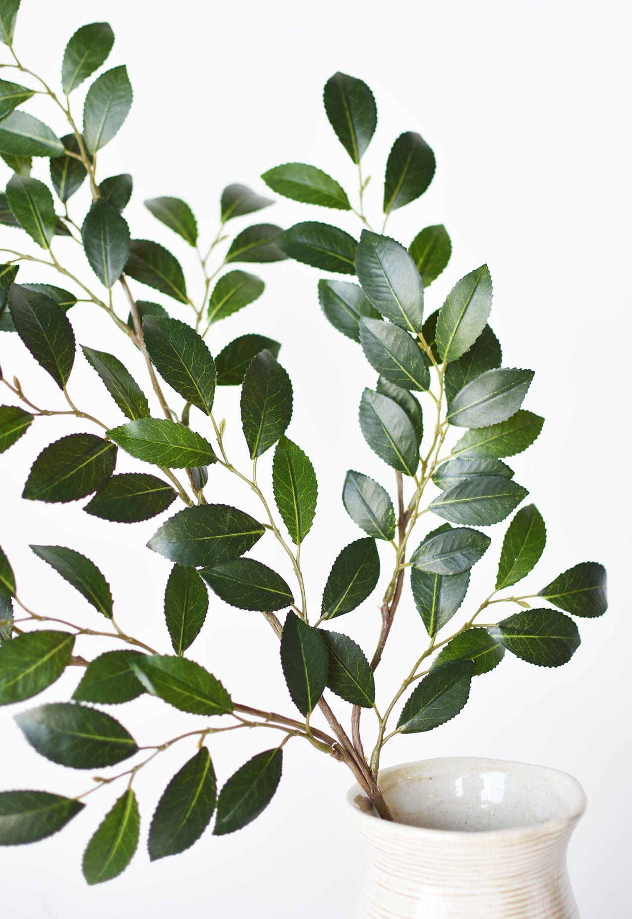 Ruscus Leaf Stem, 26"