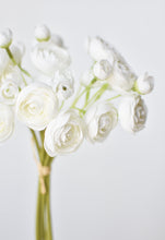 Load image into Gallery viewer, White Ranunculus Stem Bundle, 10.5&quot;
