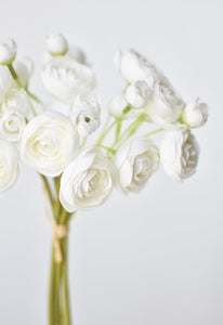 White Ranunculus Stem Bundle, 10.5"