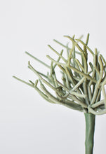Load image into Gallery viewer, Green and Gray Pencil Cactus Pick, 8&quot;
