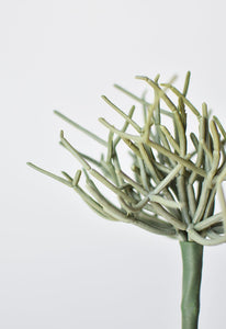 Green and Gray Pencil Cactus Pick, 8"