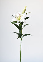 Load image into Gallery viewer, Lily Stem, 35&quot;, White
