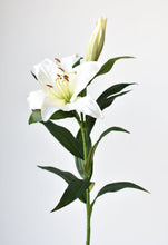 Load image into Gallery viewer, Lily Stem, 35&quot;, White
