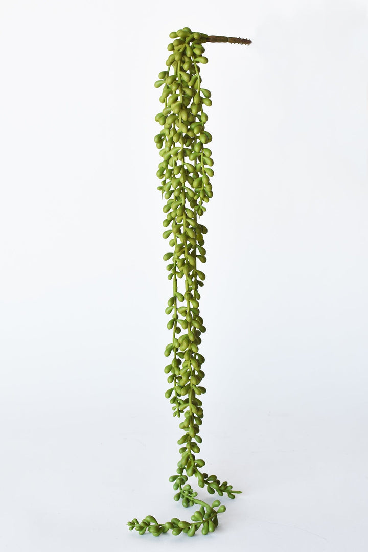 String of Pearl Succulent Stem, 28"