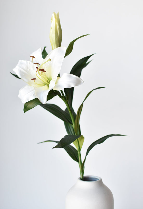 Lily Stem, 35", White