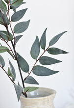 Load image into Gallery viewer, Ruscus Leaf Stem, 36&quot;, Gray Green
