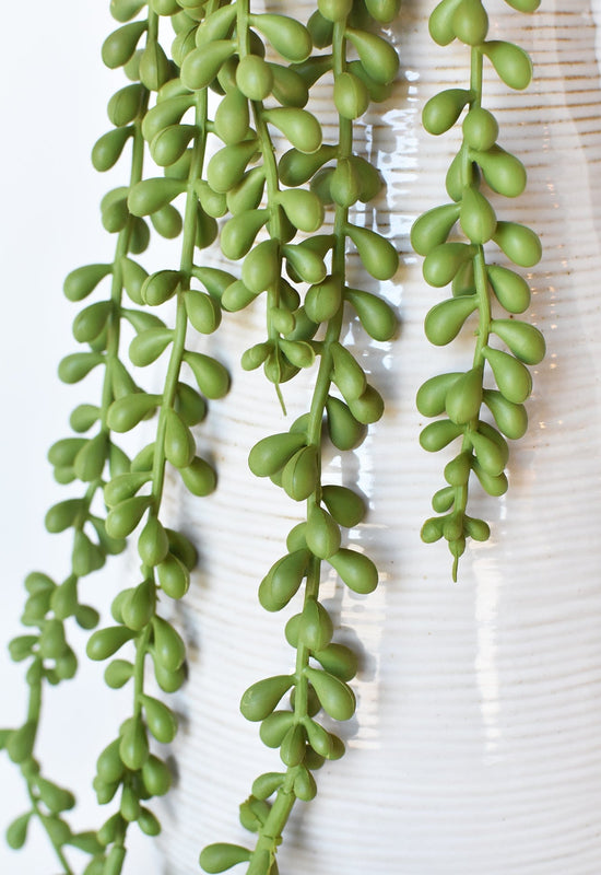 String of Pearl Succulent Stem, 28"