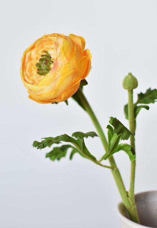 Ranunculus Stem, 13", Yellow Gold