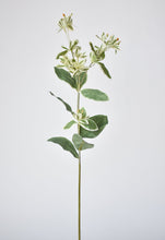 Load image into Gallery viewer, 27&quot; Faux Euphorbia Stem
