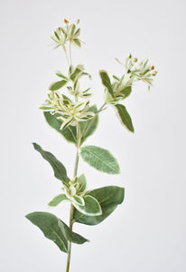 27" Faux Euphorbia Stem