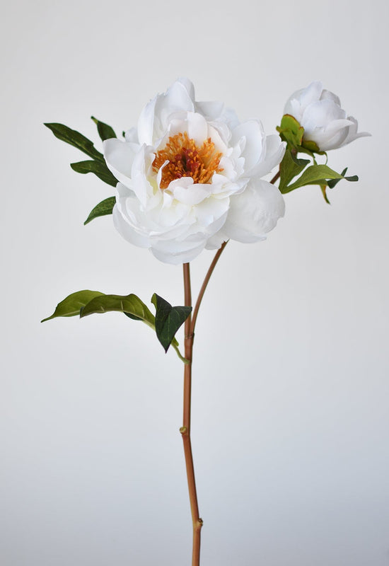 Peony Stem with Bud, 22.5", White