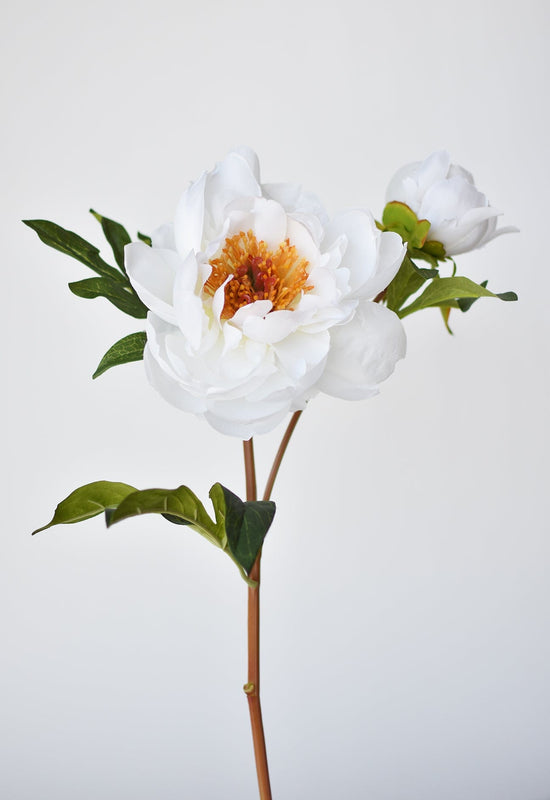 Peony Stem with Bud, 22.5", White