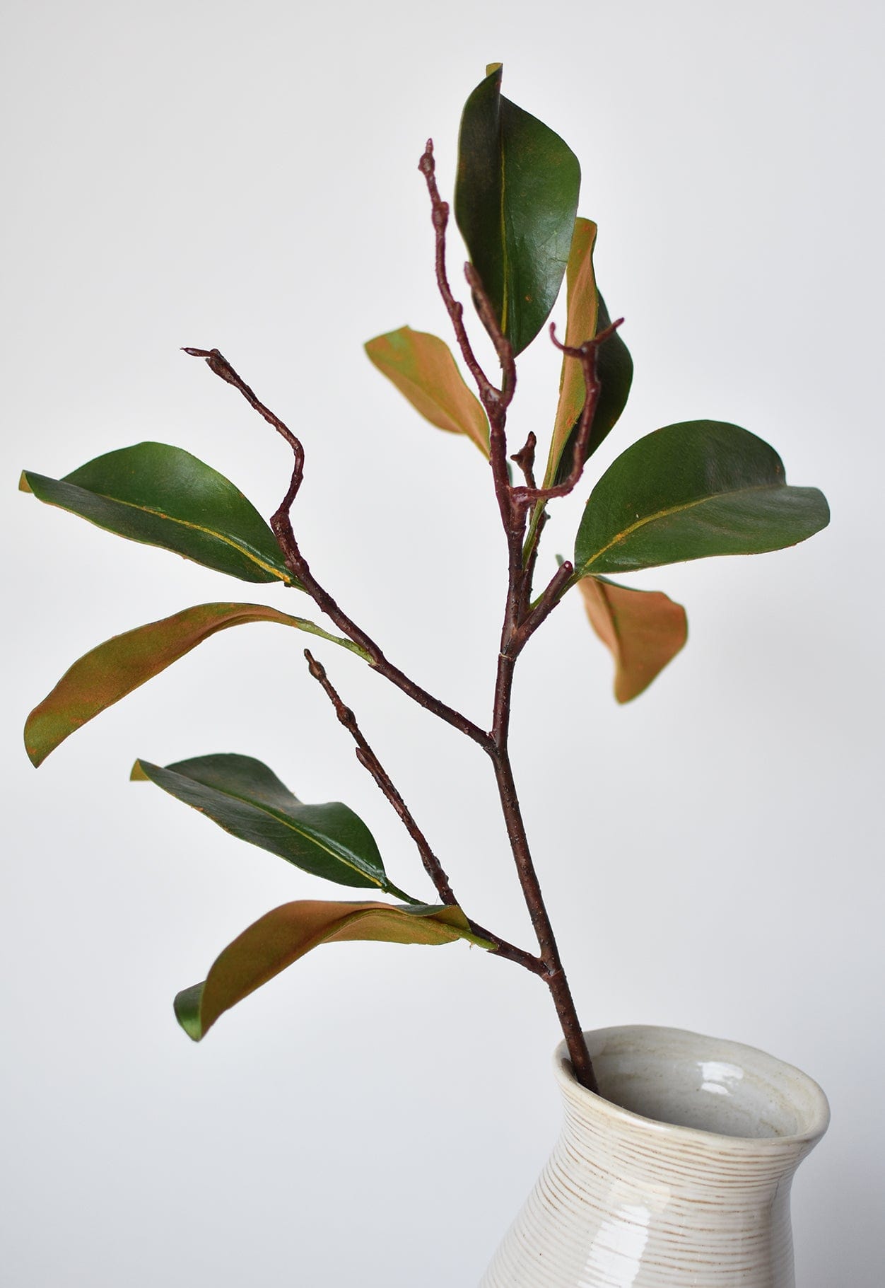 Magnolia Leaf Branch, 26"