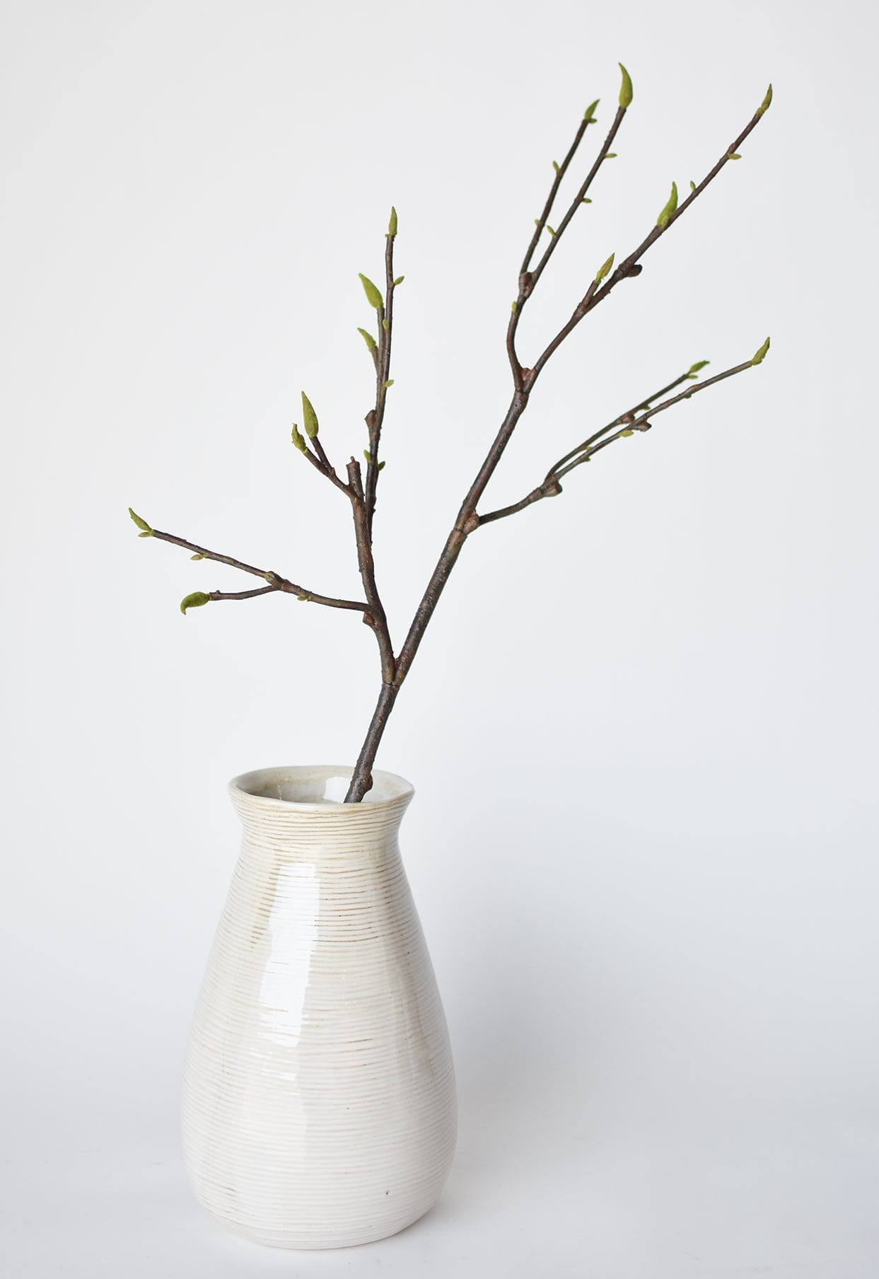 Magnolia Tree Branch, 36", Real Touch