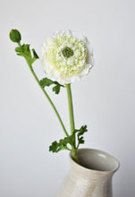 Load image into Gallery viewer, Double Ruffled Ranunculus Stem, 21&quot;, White
