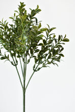 Load image into Gallery viewer, Boxwood Spray Stem, 18.5&quot;
