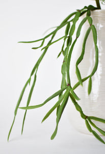Hanging Pencil Cactus Succulent Bush, 23"