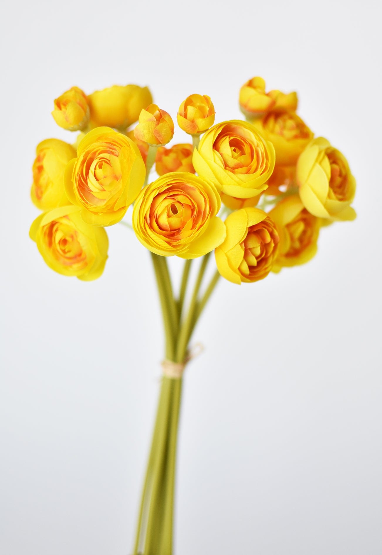 Ranunculus Stem Bundle, 10", Yellow