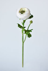 White Ranunculus Stem, 13"