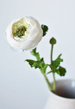 Load image into Gallery viewer, White Ranunculus Stem, 13&quot;
