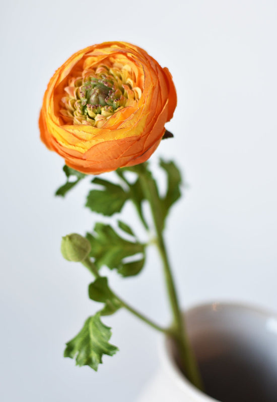 Ranunculus Stem, 13", Orange