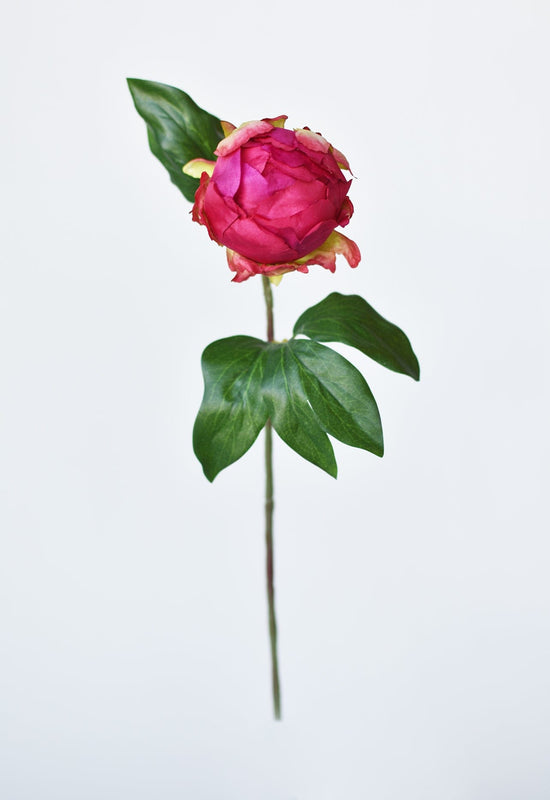 Peony Bud Stem, 18", Fuchsia