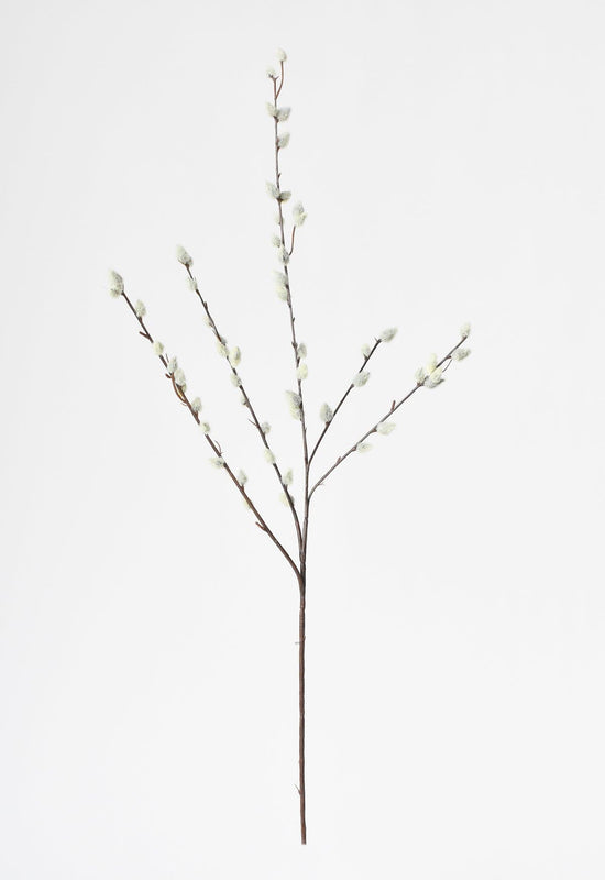 Pussy Willow Stem, 31"