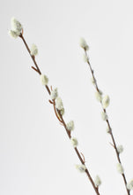 Load image into Gallery viewer, 31&quot; Faux Pussy Willow Stem
