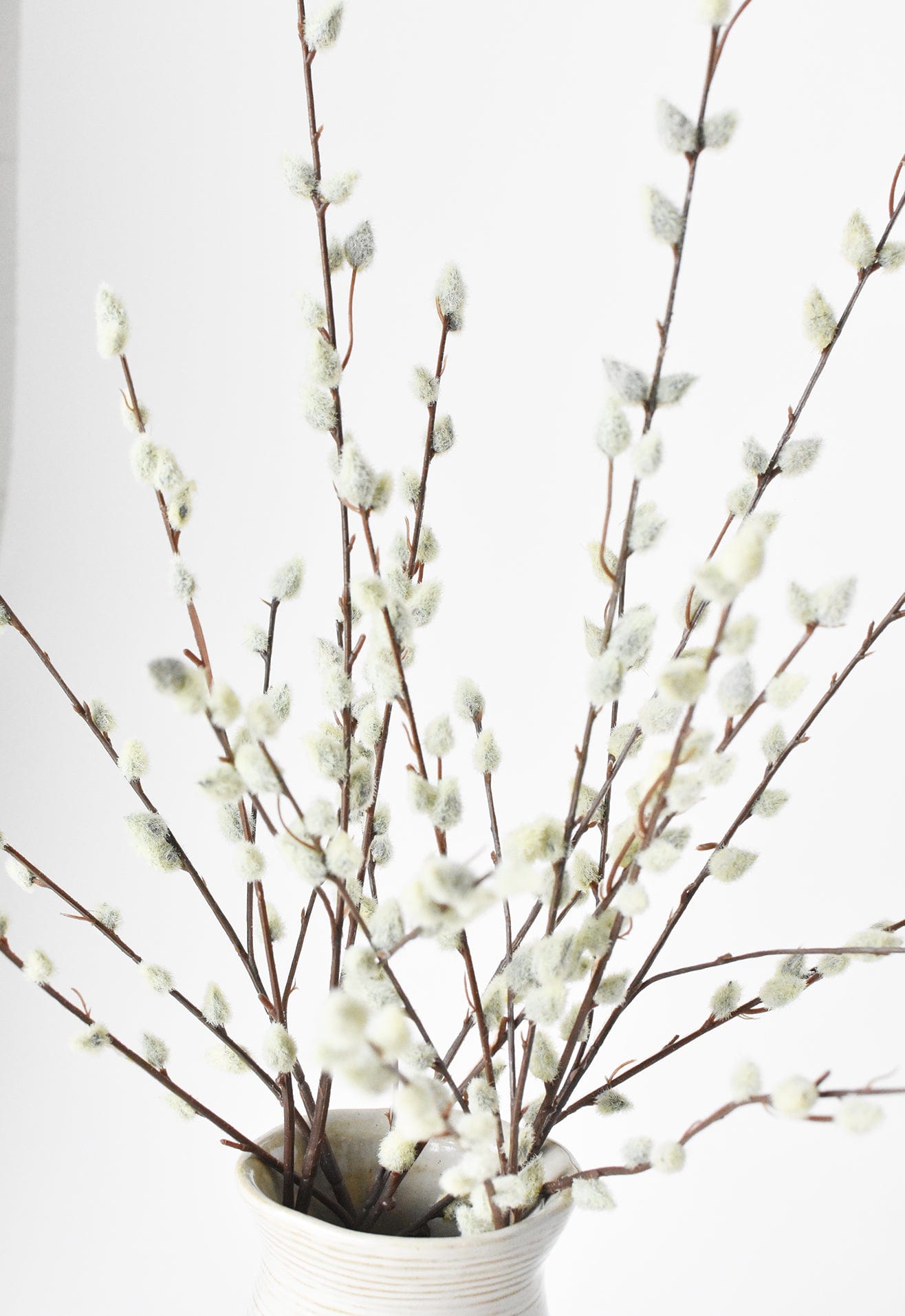 Pussy Willow Stem, 31"