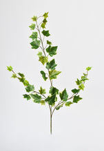 Load image into Gallery viewer, 25&quot; Faux  Variegated Green Ivy Stem
