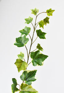 25" Faux  Variegated Green Ivy Stem