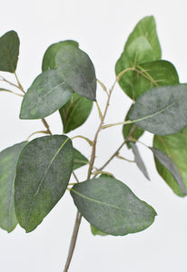 Eucalyptus Leaf Stem, 24"