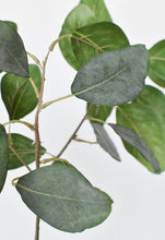 Load image into Gallery viewer, Eucalyptus Leaf Stem, 24&quot;
