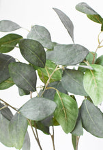 Load image into Gallery viewer, Eucalyptus Leaf Stem, 24&quot;
