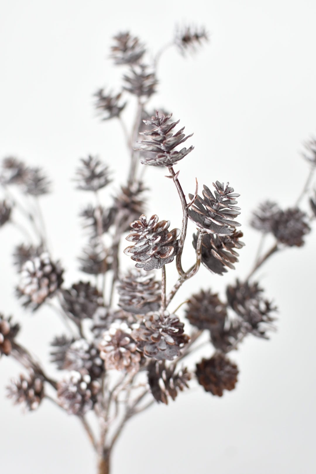 Frosted Pinecone Bush, 15"