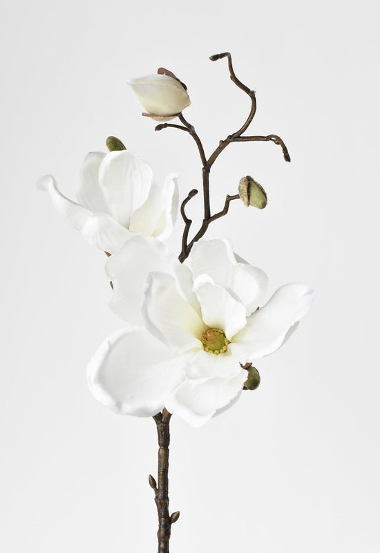 Magnolia Stem, 19", White