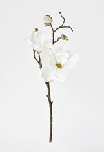 Load image into Gallery viewer, Magnolia Stem White, 19&quot;
