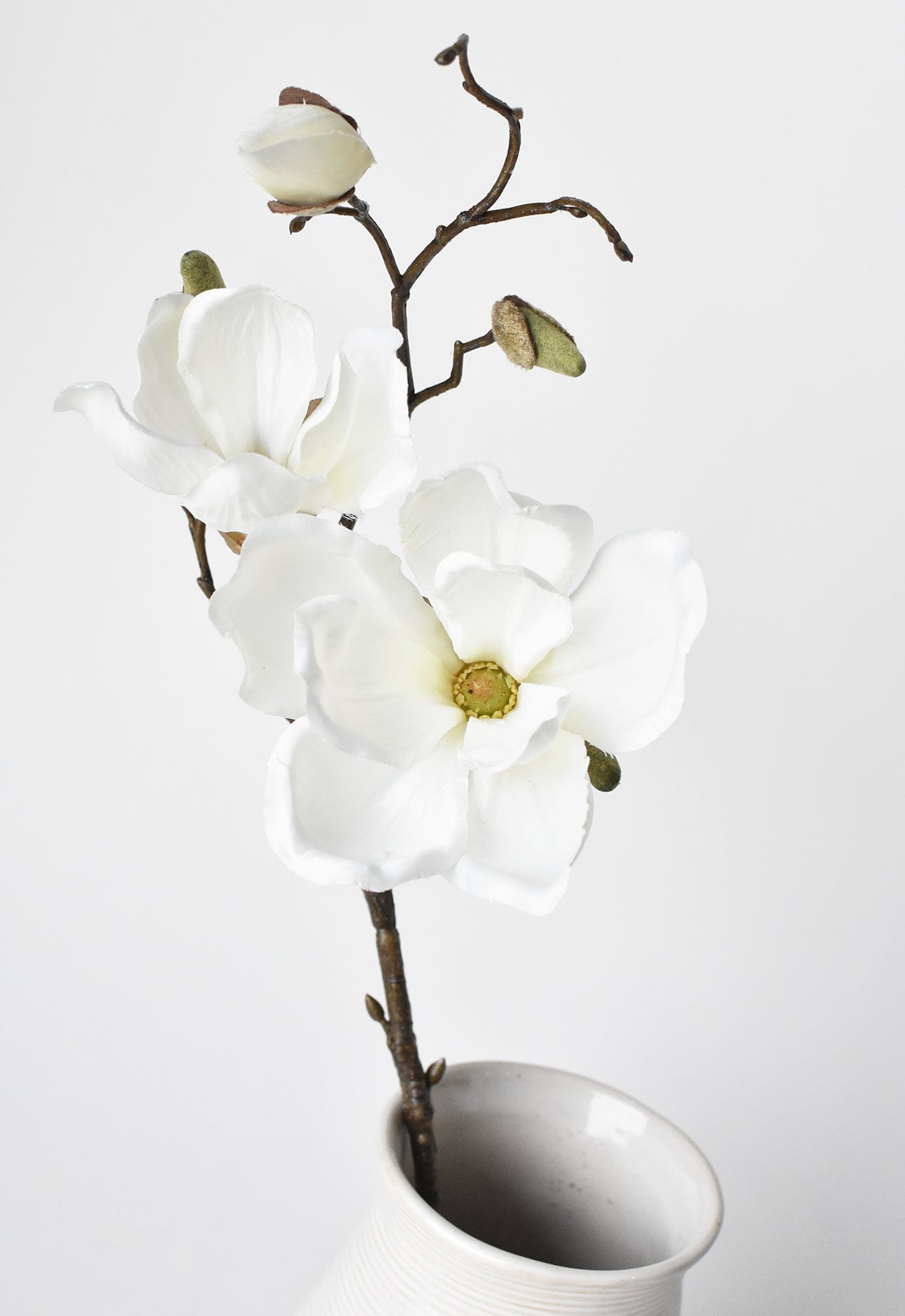 Magnolia Stem, 19", White