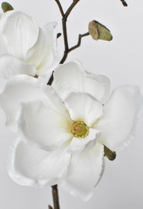 Magnolia Stem White, 19"