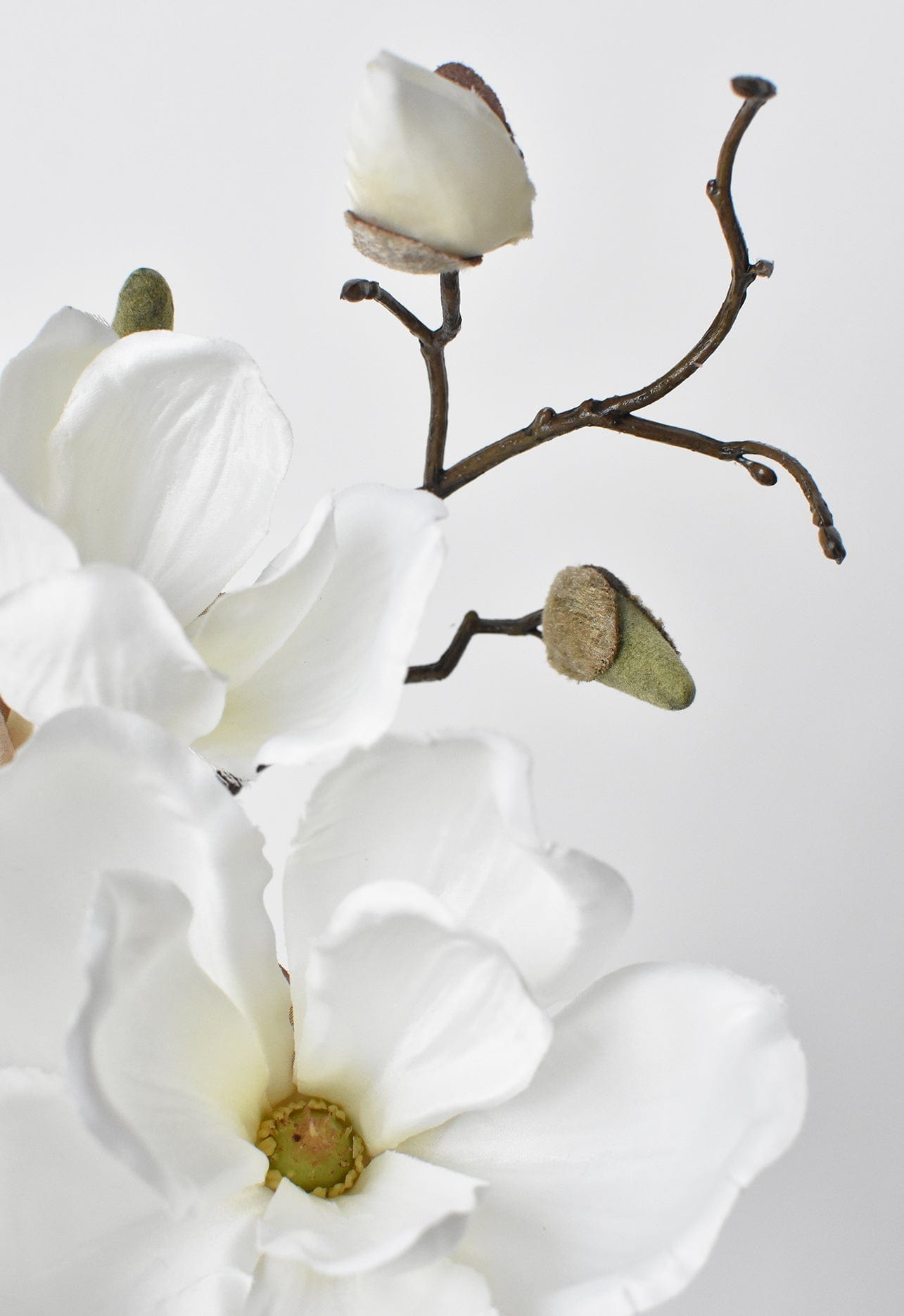 Magnolia Stem, 19", White