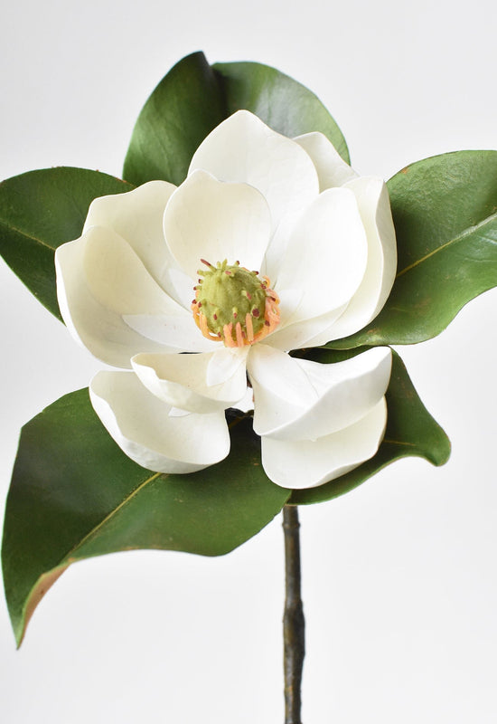 Magnolia Blossom Stem, 24", Real Touch